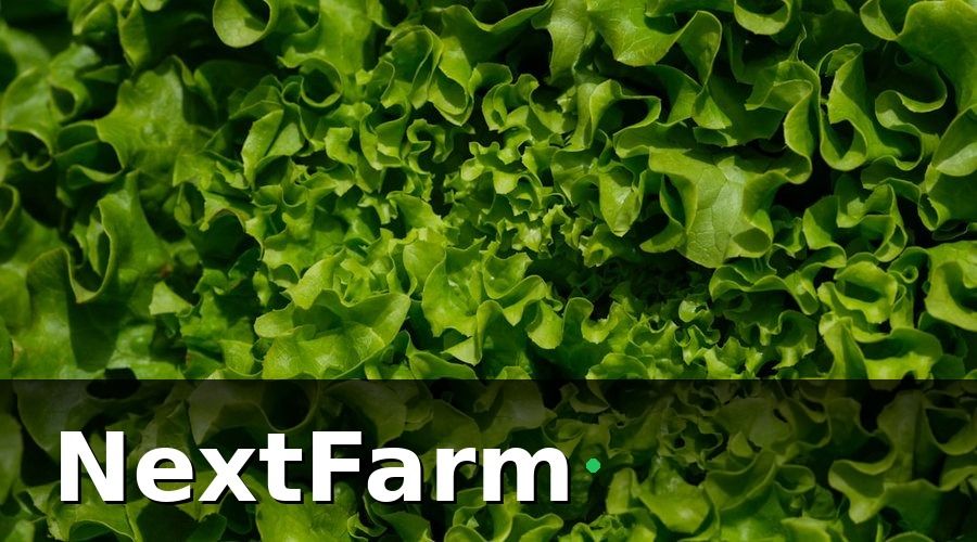 NextFarm — Tại Sao Chăm Sóc Khách Hàng Lại Quan Trọng Với Trang Trại Thủy Canh?