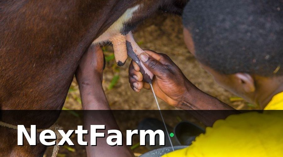 NextFarm — Hiểu Đúng