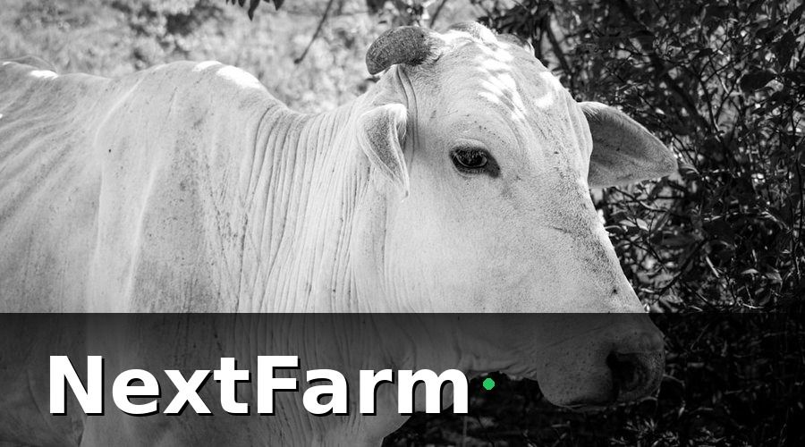 NextFarm — Tại Sao Chăm Sóc Khách Hàng Quan Trọng Với Trang Trại Bò Thịt?