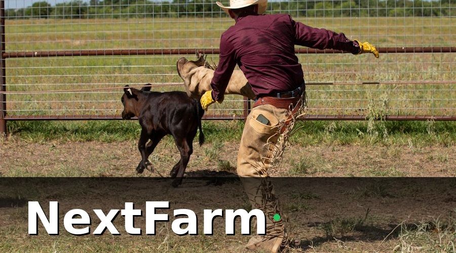 NextFarm — Tại Sao Chăm Sóc Khách Hàng Quan Trọng Với Trang Trại Thu Mua Dê Cừu?