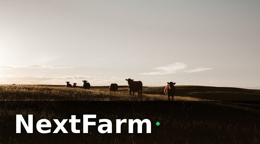NextFarm — Phân Loại Nhóm Khách Hàng Thu Mua Dê Cừu