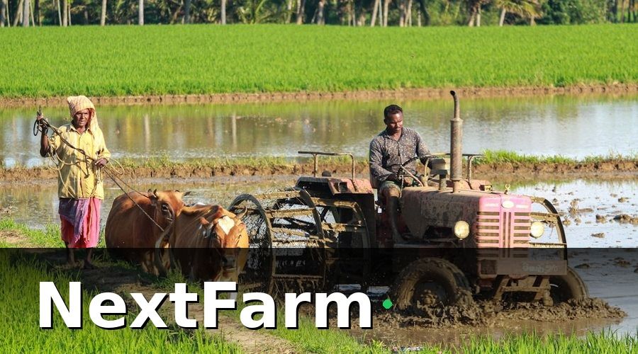 NextFarm — Quy Trình Chăm Sóc Khách Hàng 5 Bước Cho Trang Trại Thu Mua