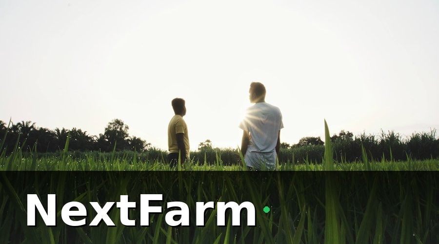 NextFarm — Những Vấn Đề Phổ Biến Làm Mất Khách Trong Chuỗi Thu Mua Gà