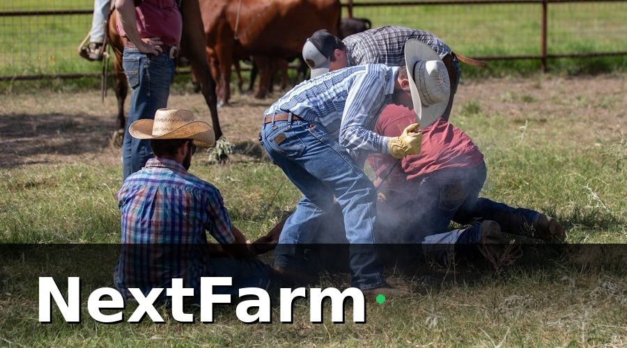 NextFarm — Tại Sao Chăm Sóc Khách Hàng Quan Trọng Với Trang Trại Heo Thu Mua?