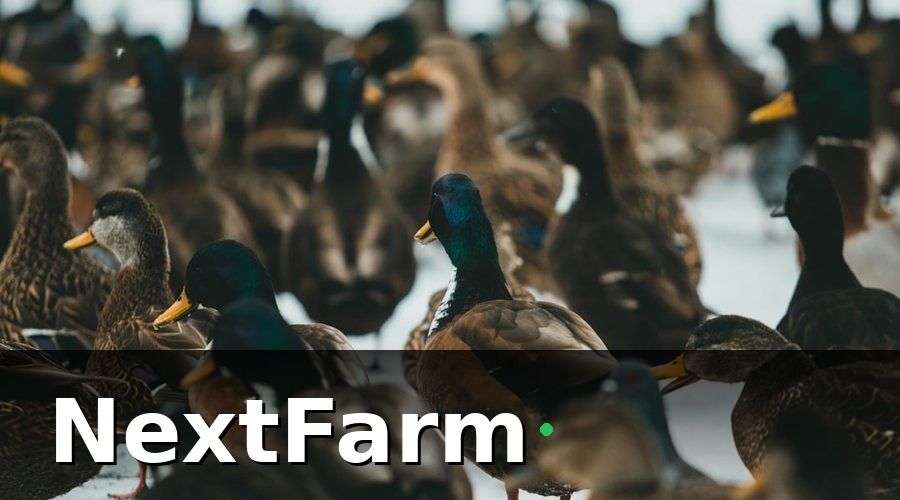 NextFarm — Tại Sao Chăm Sóc Khách Hàng Quan Trọng Với Trang Trại Thu Mua?