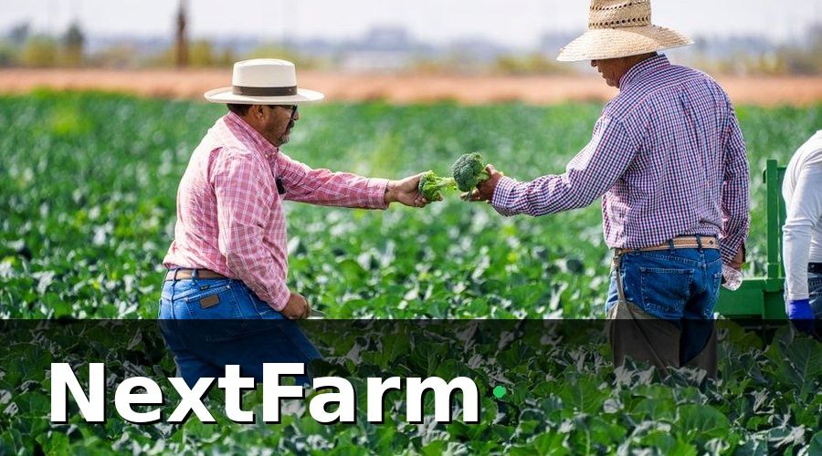 NextFarm — 1. Tại Sao Chăm Sóc Khách Hàng Thu Mua Quan Trọng Với Nông Trại VietGAP?