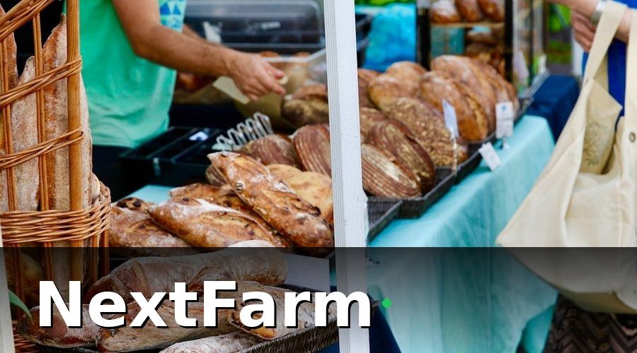 NextFarm — 2. Bốn Nhóm Khách Hàng Thu Mua Chính và Cách Tiếp Cận