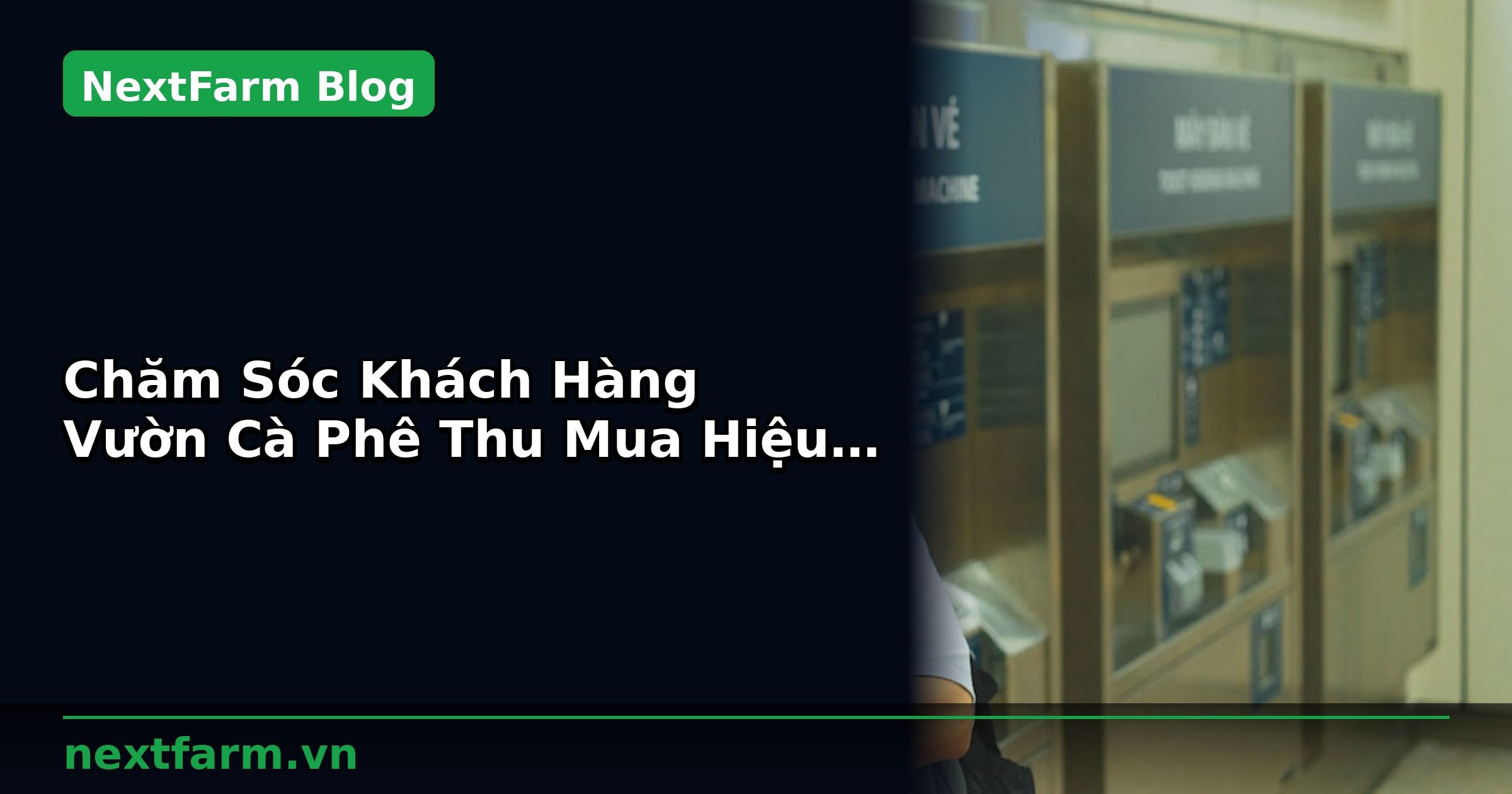 Chăm Sóc Khách Hàng Vườn Cà Phê Thu Mua Hiệu Quả | NextFarm