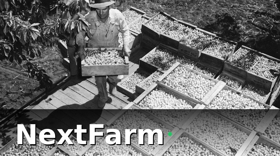 NextFarm — Hiểu Đúng Nhu Cầu Của Hộ Trồng Cà Phê