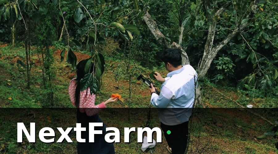 NextFarm — Tại Sao Chăm Sóc Khách Hàng Thu Mua Lại Quan Trọng Với Vườn Cây Ăn Quả?