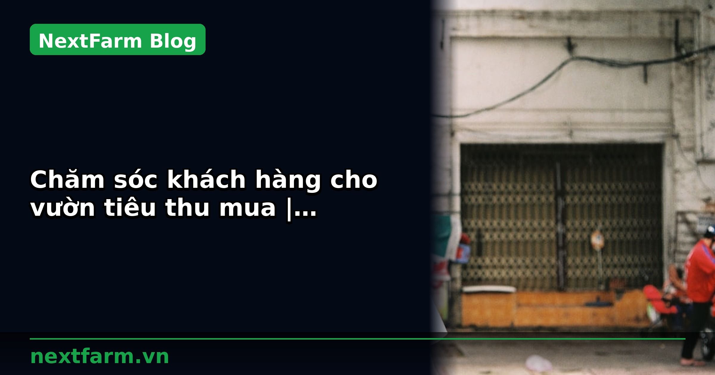 Chăm sóc khách hàng cho vườn tiêu thu mua | NextFarm