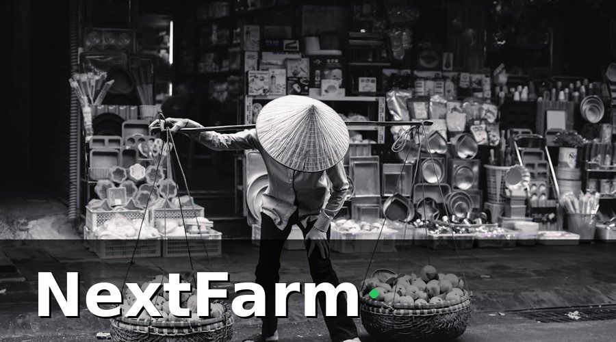 NextFarm — Tại sao chăm sóc khách hàng thu mua lại quan trọng với vườn tiêu?