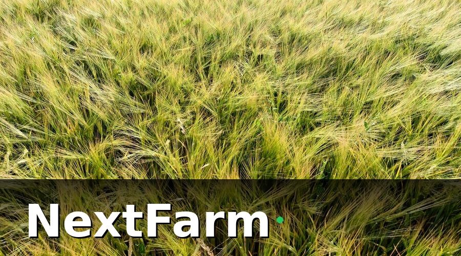 NextFarm — Chi phí phần cứng: cảm biến, camera, máy chủ