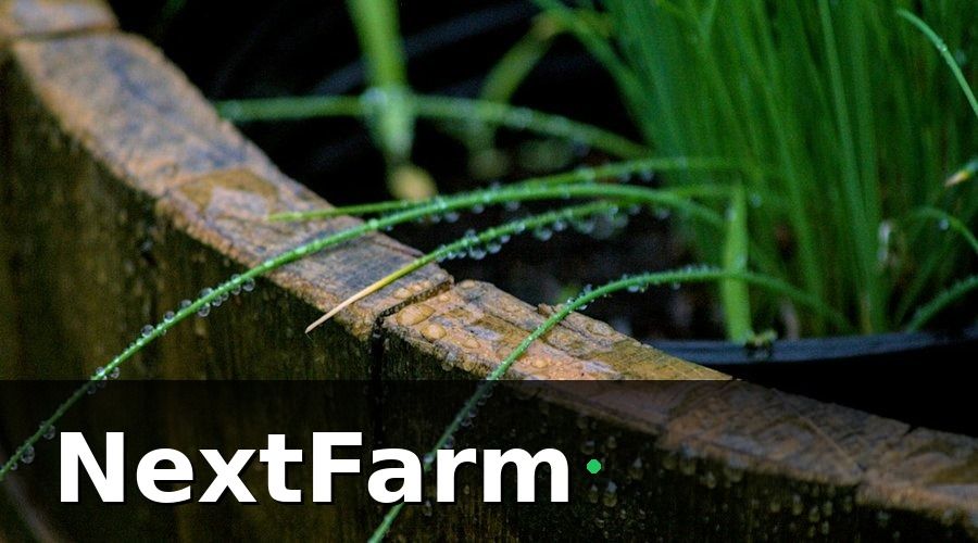 NextFarm — Các loại cảm biến đất phổ biến và mức giá tham khảo