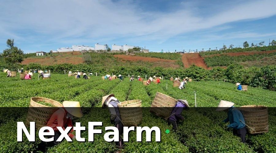 NextFarm — Phân loại chi phí đầu tư chuyển đổi số nông nghiệp