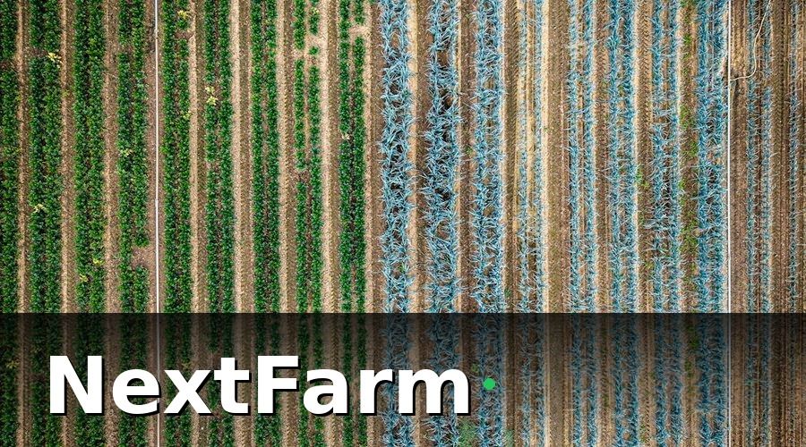NextFarm — Bảng chi phí tham khảo theo quy mô trang trại