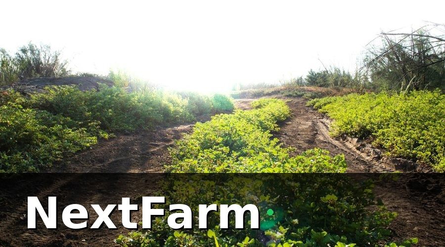 NextFarm — Bảng dự toán chi phí theo quy mô phổ biến