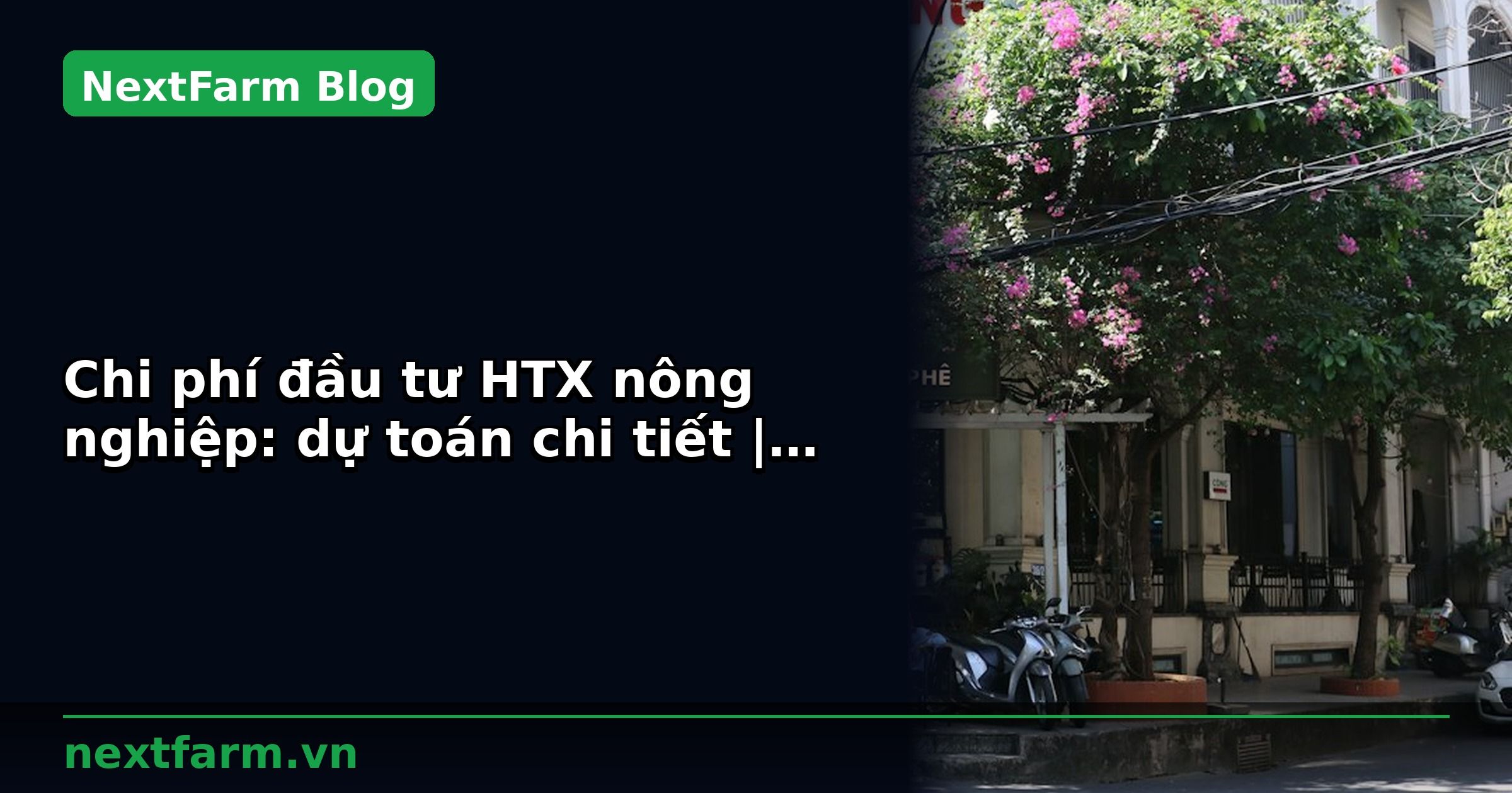 Chi phí đầu tư HTX nông nghiệp: dự toán chi tiết | NextFarm