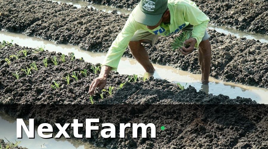 NextFarm — Tại Sao Chi Phí Đầu Tư Hữu Cơ Lại Cao Hơn Canh Tác Thông Thường?