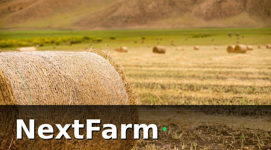 NextFarm — Dự Toán Chi Phí Đầu Tư Theo Từng Hạng Mục