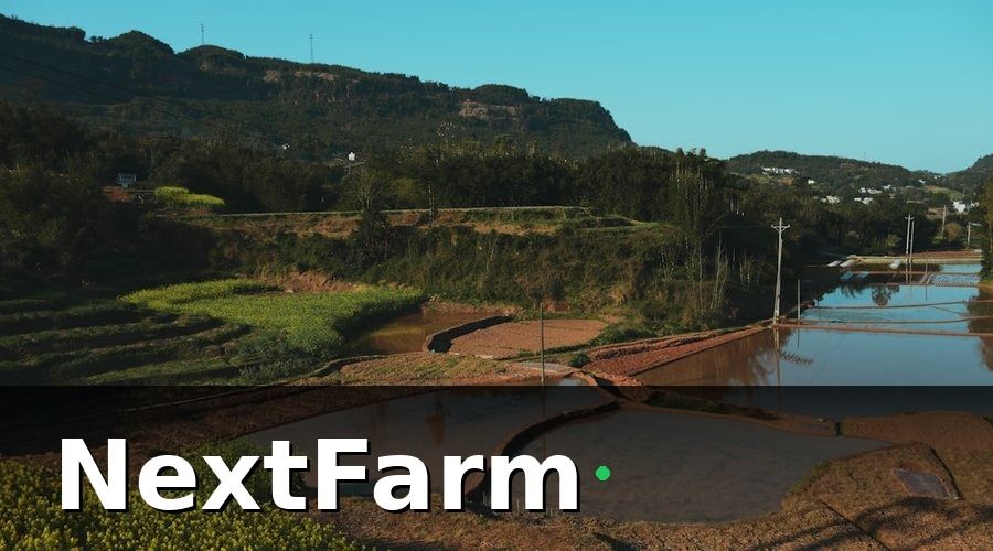 NextFarm — Chi Phí Đầu Tư Ruộng Lúa Nước Gồm Những Gì?