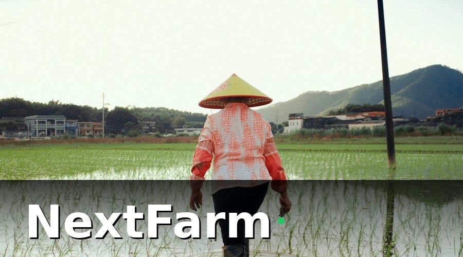 NextFarm — Chi Tiết Từng Hạng Mục Chi Phí