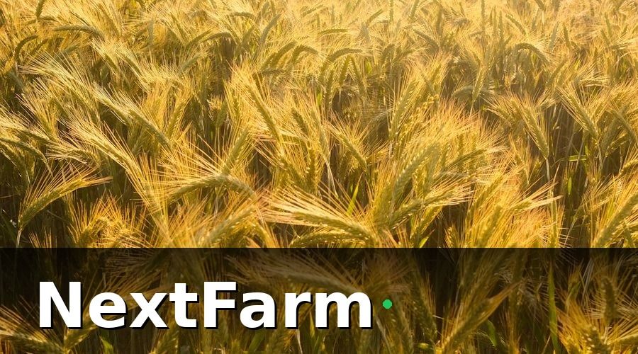 NextFarm — Tổng Hợp Chi Phí Đầu Tư Ruộng Lúa Nước Một Vụ