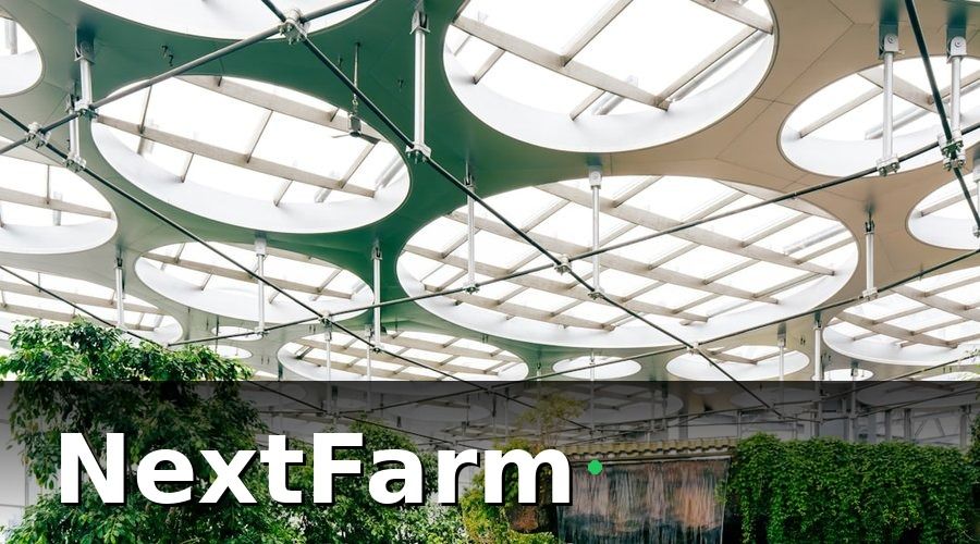 NextFarm — Nhà kính công nghệ cao là gì và tại sao chi phí lại dao động lớn?