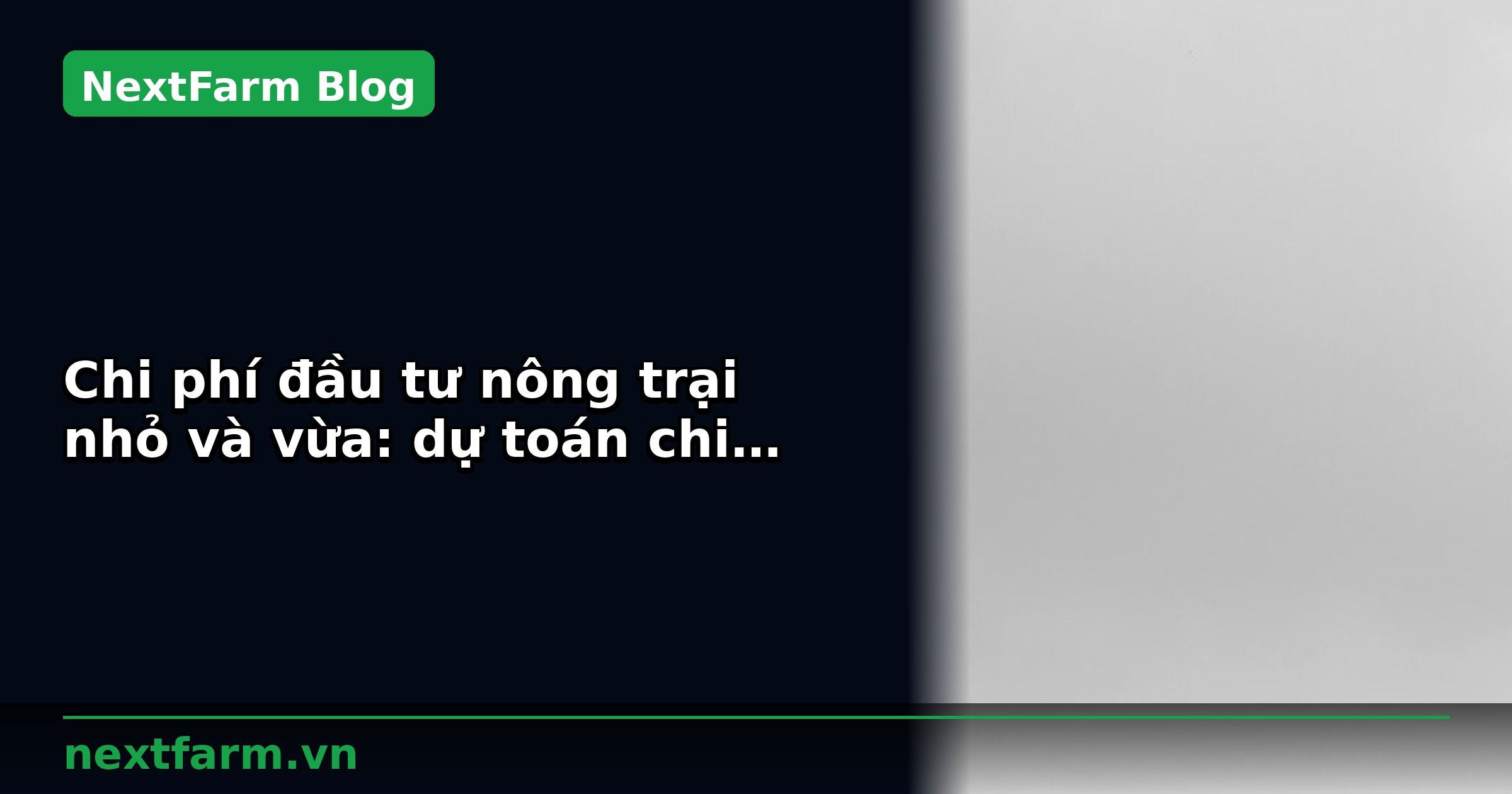 Chi phí đầu tư nông trại nhỏ và vừa: dự toán chi tiết | NextFarm