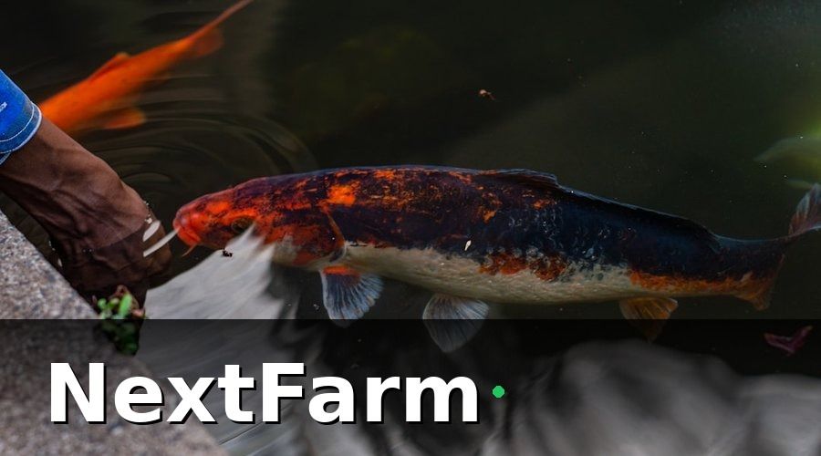 NextFarm — 2. Dự toán chi phí đầu tư ban đầu theo quy mô