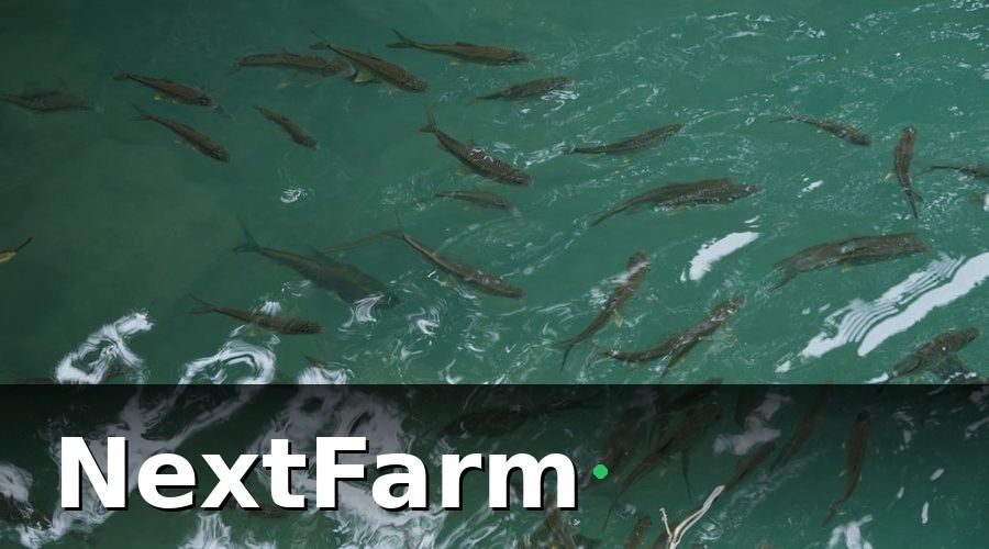 NextFarm — 3. Chi phí vận hành theo chu kỳ nuôi (4–6 tháng/vụ)