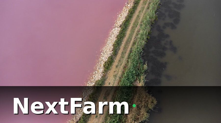 NextFarm — Chi phí đầu tư ban đầu gồm những gì?