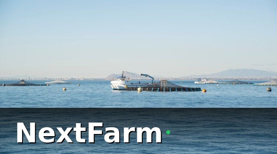 NextFarm — Chi phí xây dựng ao và hạ tầng