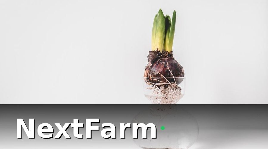 NextFarm — Thủy canh là gì và tại sao chi phí ban đầu cao hơn canh tác truyền thống?