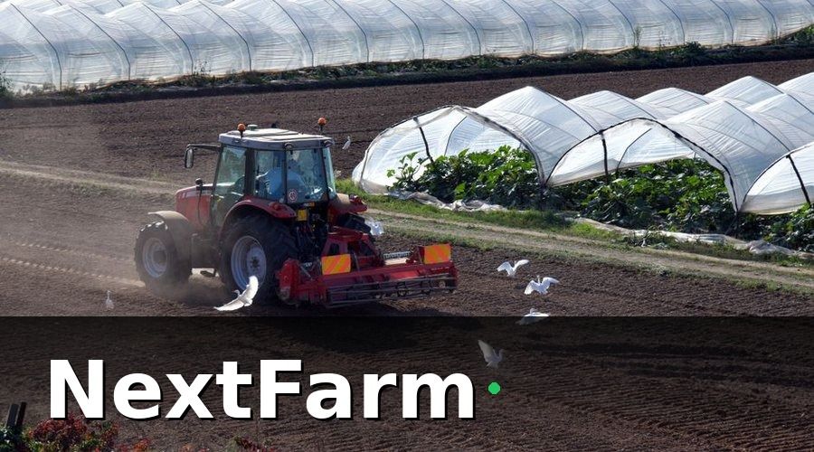 NextFarm — Các hạng mục chi phí đầu tư chính cần dự toán