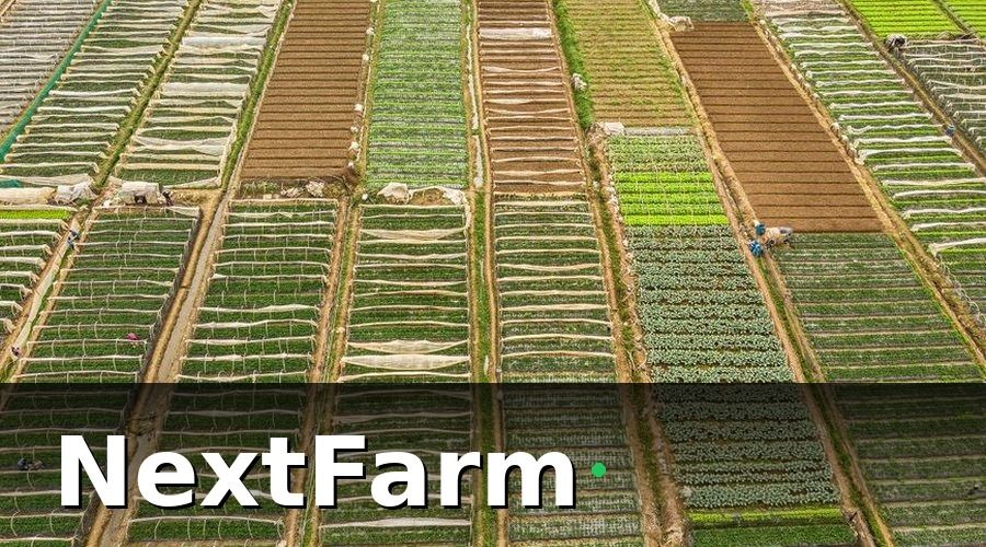 NextFarm — Bảng tổng hợp dự toán chi phí theo quy mô