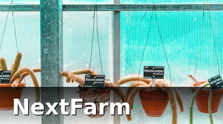 NextFarm — Chi phí ban đầu: thiết bị IoT và phần mềm