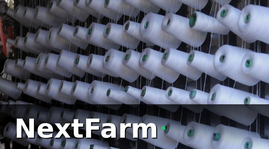 NextFarm — Các yếu tố quyết định chi phí đầu tư thủy canh
