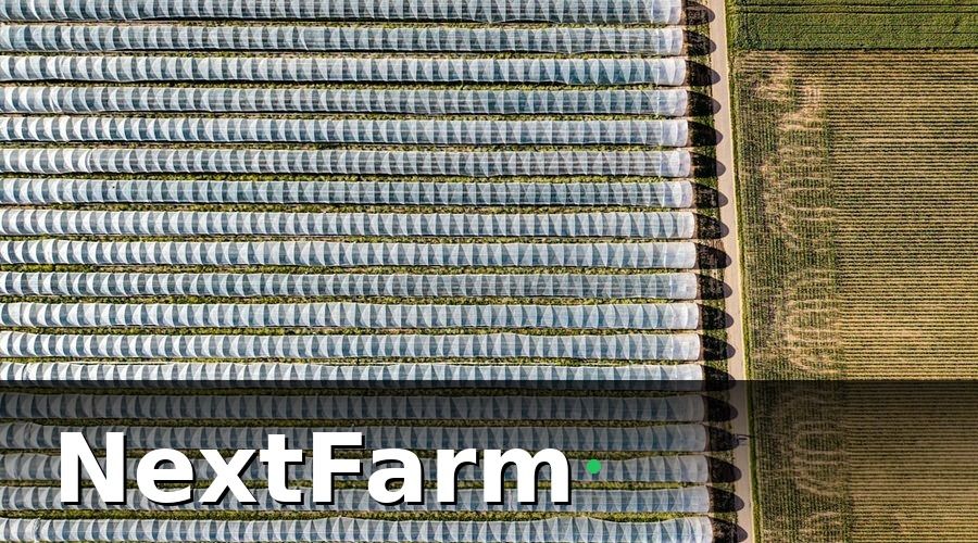 NextFarm — Dự toán chi phí theo quy mô