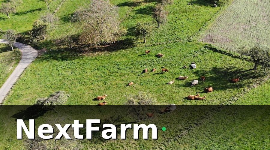 NextFarm — 1. Tổng quan các hạng mục chi phí đầu tư trang trại bò thịt