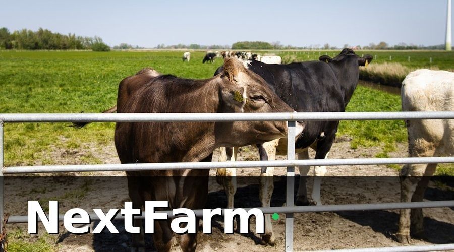 NextFarm — 2. Dự toán chi phí đầu tư theo quy mô