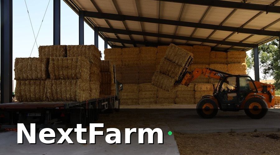 NextFarm — Chi phí thức ăn và dinh dưỡng