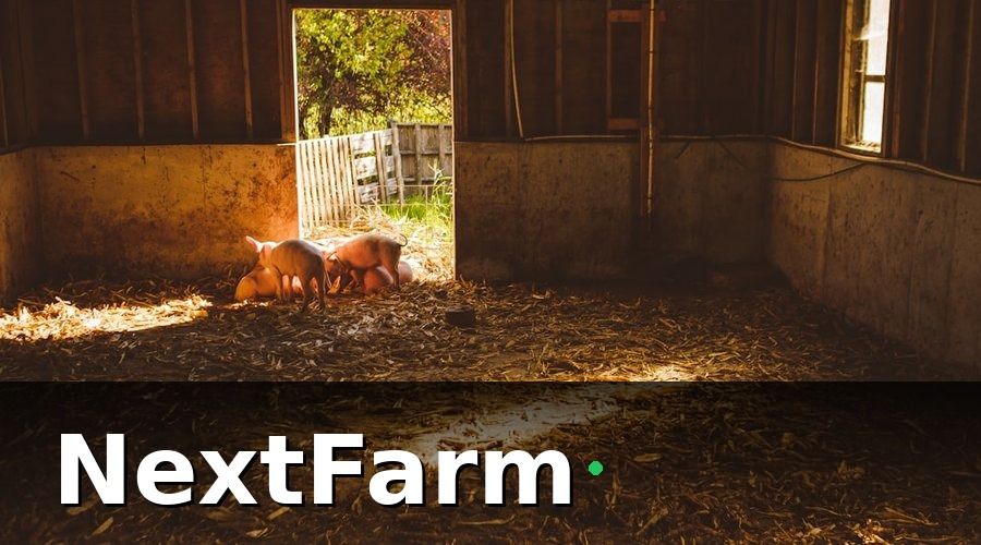 NextFarm — Quy mô trang trại ảnh hưởng thế nào đến chi phí đầu tư?