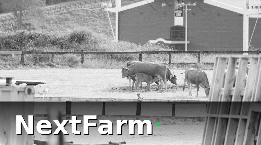 NextFarm — Tổng hợp dự toán chi phí đầu tư trang trại nuôi heo 1.000 con