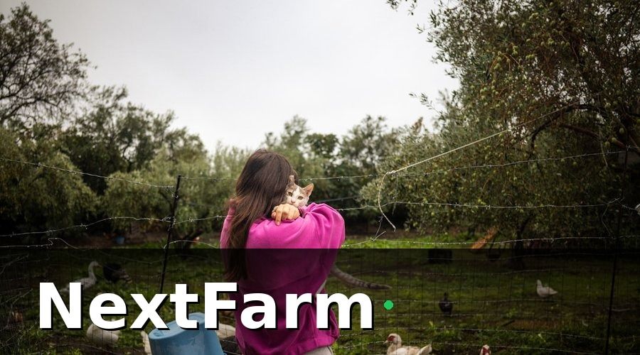 NextFarm — 1. Tổng quan về mô hình trang trại vịt ngan