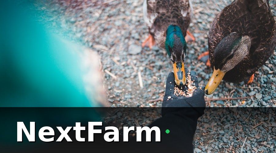 NextFarm — 3. Chi phí vận hành hàng tháng