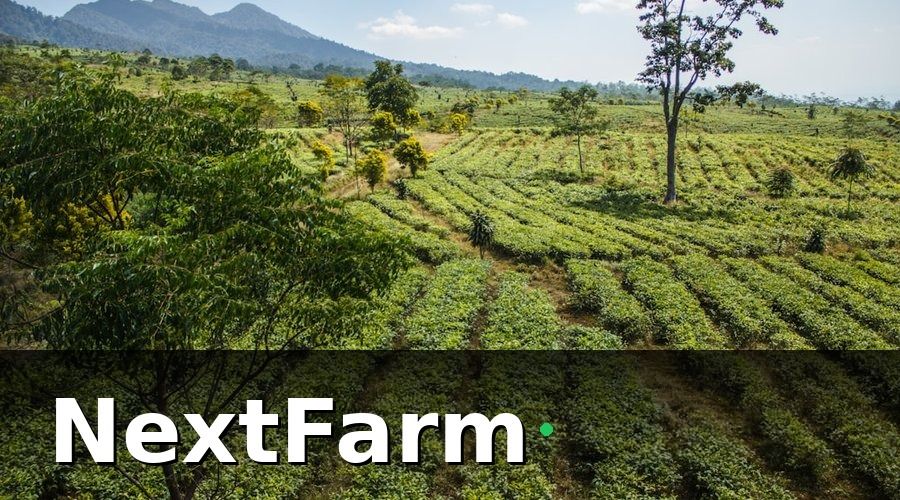NextFarm — Chi Phí Đầu Tư Vườn Cà Phê Gồm Những Khoản Gì?