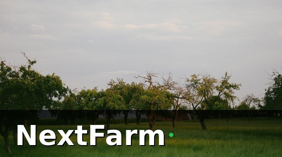 NextFarm — Dự Toán Chi Phí Đầu Tư Ban Đầu Theo Từng Hạng Mục
