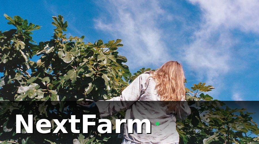 NextFarm — Chi Phí Vận Hành Hằng Năm (Sau Giai Đoạn Thiết Lập)