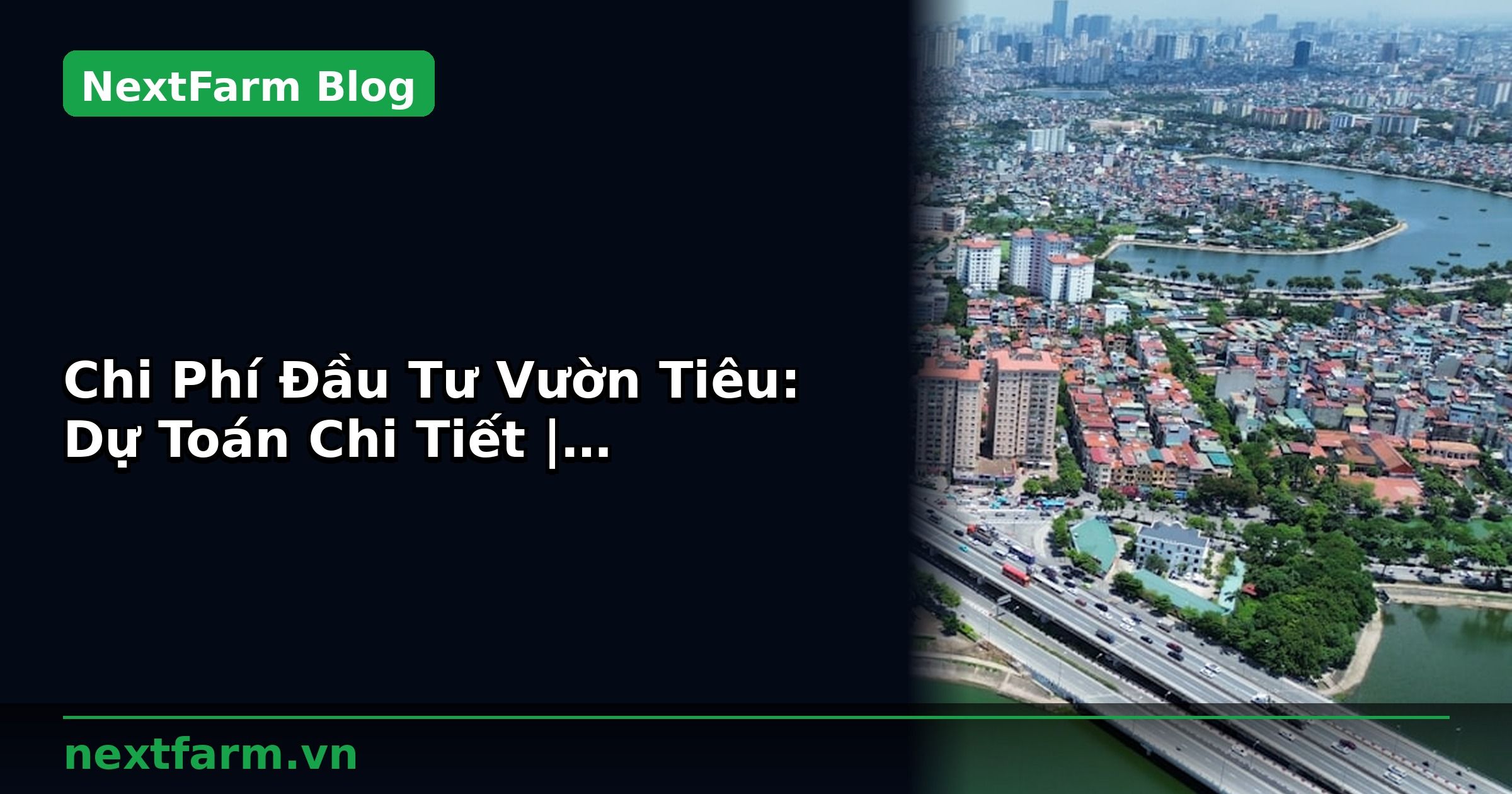 Chi Phí Đầu Tư Vườn Tiêu: Dự Toán Chi Tiết | NextFarm